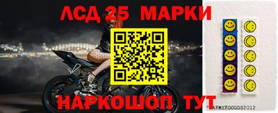 гашик Вышний Волочёк